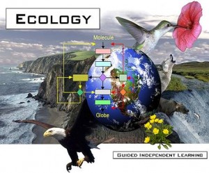 ecology-300x249.jpg